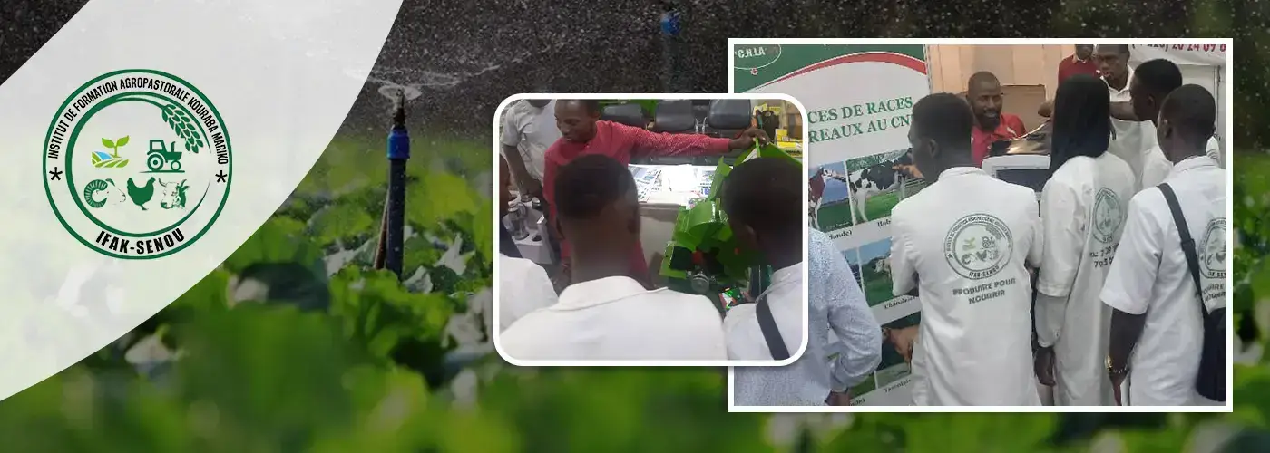 SLIDE-IFAK-SENOU-3-1