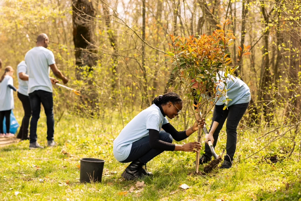 Arboriculture-Entretien-des-Vergers