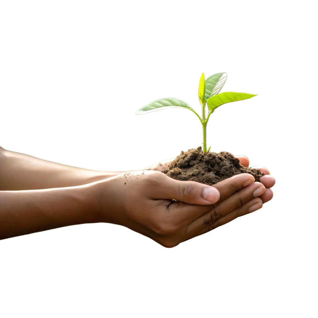 Jardinage-et-Production-Vegetale